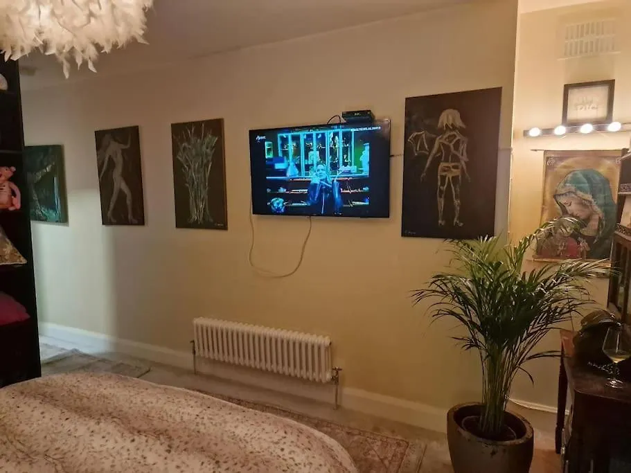 Trinity Cottage 2 Bed With Mezzanine Dublin 0*,  Irlanda